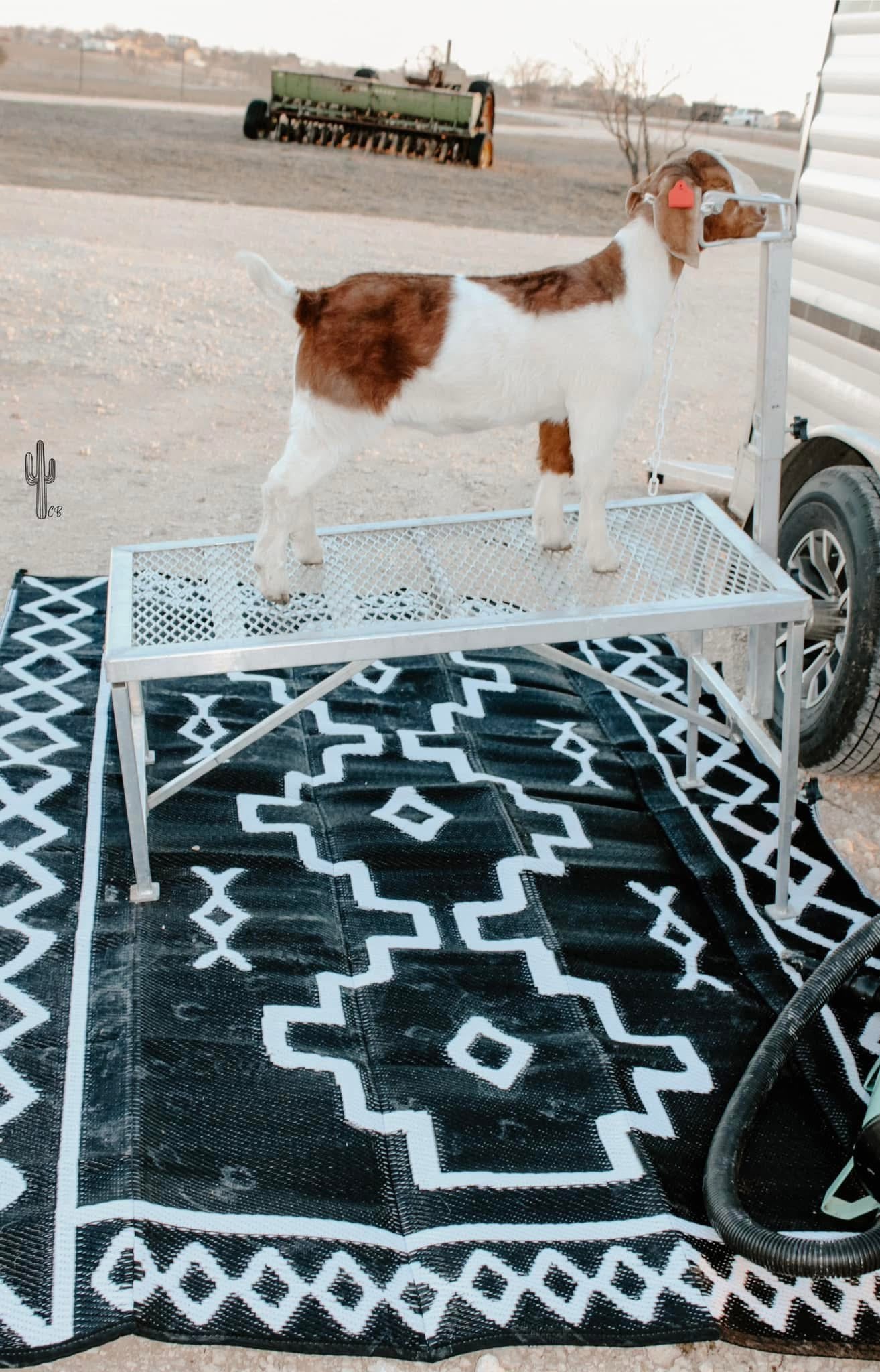 Boho reversible outside rug
